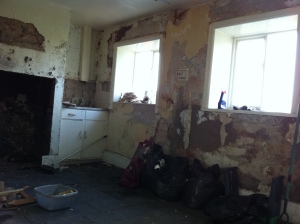 removing wallpaper can remove plaster!!